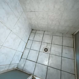 Moldy wall and floor tiles in shower with cracks needing new grout.